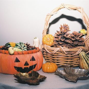 Fall Leaves, Gourds, and Pumpkins