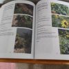 Gardening for the Butterflies - Image 3