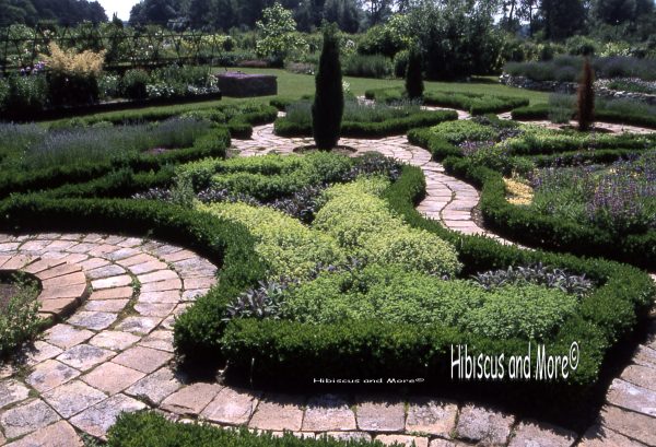 Botanicus Herb Garden Fine Art Print